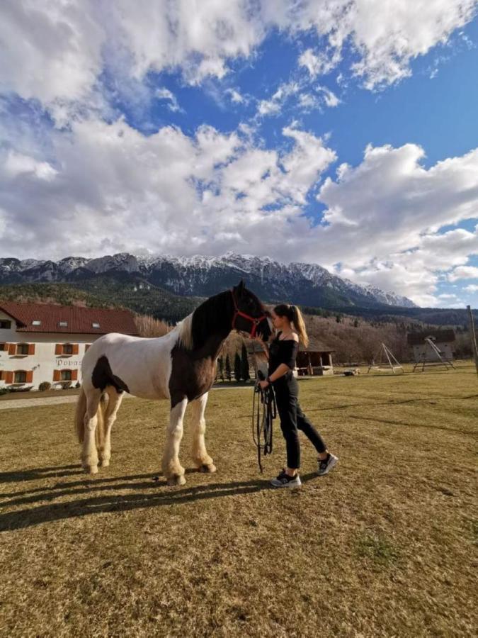 Popasul Craiului Villa Zărneşti Eksteriør billede